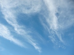 Cloudy Skies: Wispy (163)